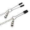 Fifty Shades Of Grey Satin And Lace Collar With Nipple Clamps