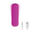 Vibrating Bullet Set - 4 in 1