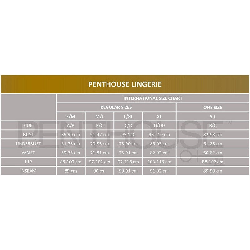 Сексуальное платье Penthouse Heart Rob Dress - Черное